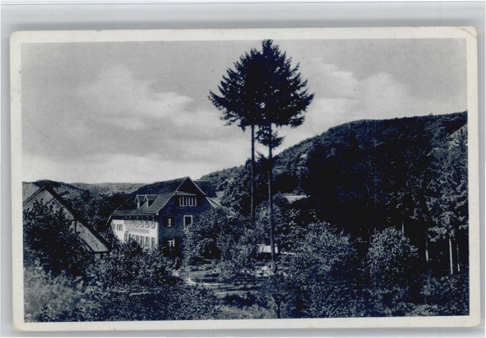 oedsbach Gasthaus Pension gruener Baum x