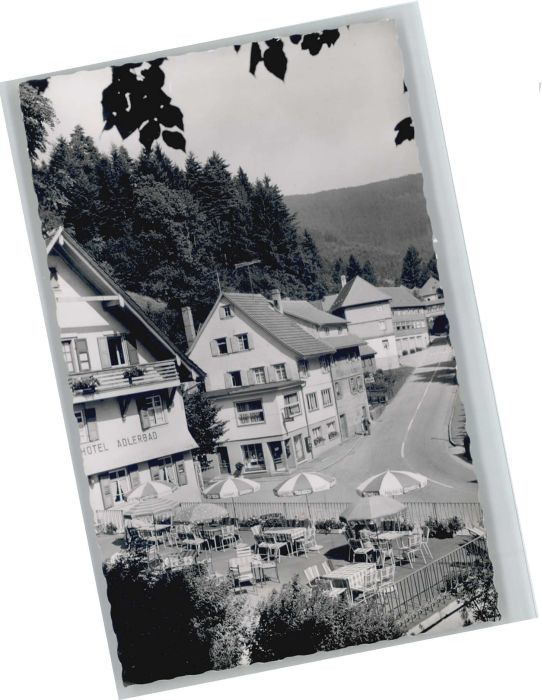 Bad Peterstal-Griesbach Hotel Adlerbad