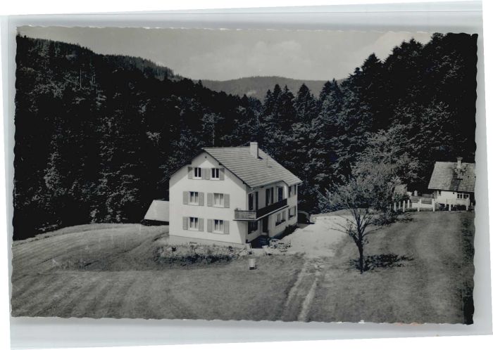 Bad Peterstal-Griesbach Fremdenheim Herbstwasen