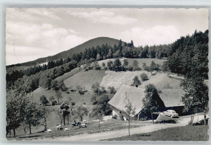 Bad Peterstal-Griesbach Bad Peterstal Restaurant Palspring