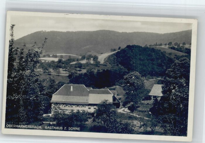 Oberharmersbach Gasthaus Zur Sonne