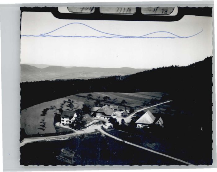 Zell Harmersbach Willhof Fliegeraufnahme