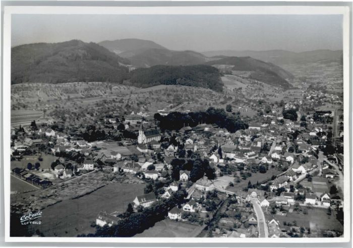 Zell Harmersbach Fliegeraufnahme