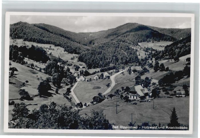 Bad Rippoldsau Schwarzwald Bad Rippoldsau Holzwald Kniebisstrasse