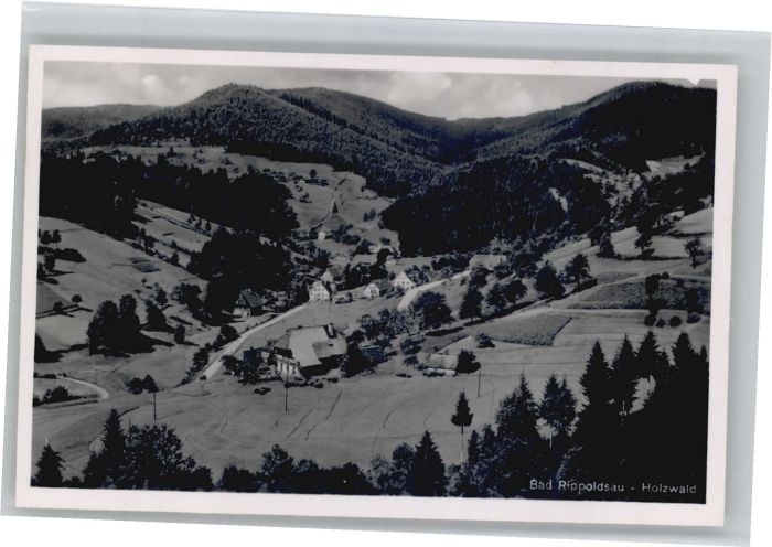 Bad Rippoldsau Schwarzwald Bad Rippoldsau Holzwald