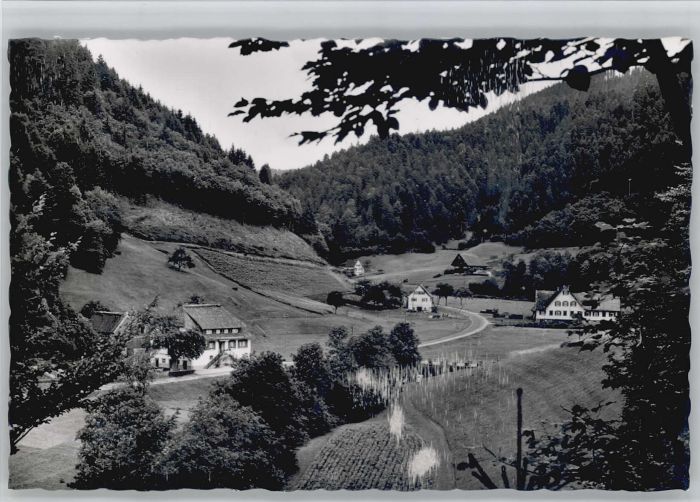 Bad Rippoldsau Schwarzwald Bad Rippoldsau