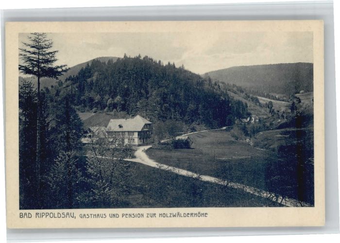 Bad Rippoldsau Schwarzwald Bad Rippoldsau Gasthaus Pension zur Hol