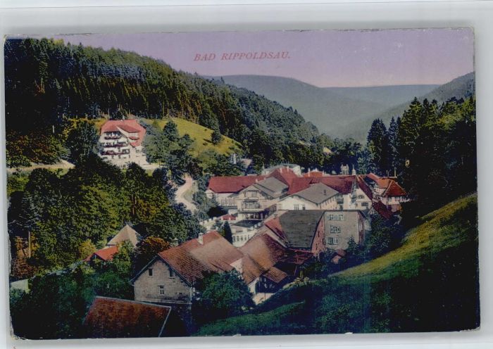 Bad Rippoldsau Schwarzwald Bad Rippoldsau