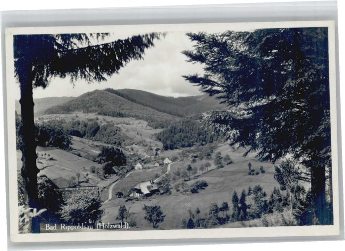 Bad Rippoldsau Schwarzwald Bad Rippoldsau Holzwald