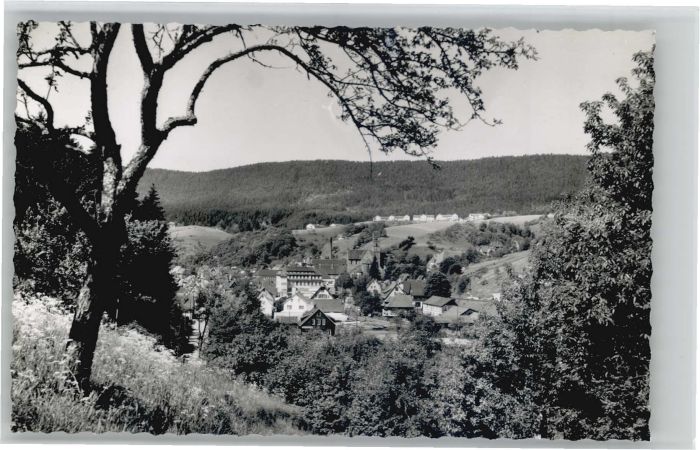 Alpirsbach Freudenstadt BW