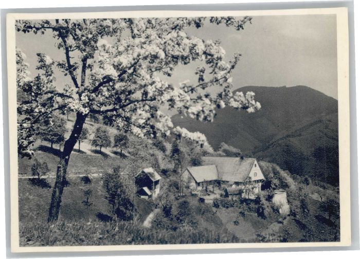 Oppenau ? Renchtal Löcherberg