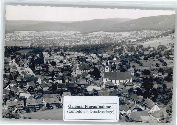 Seelbach Schutter Seelbach Fliegeraufnahme