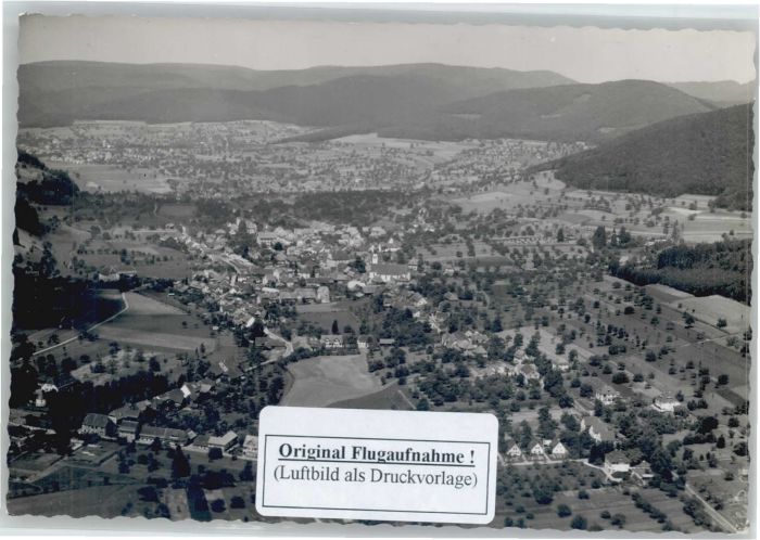 Seelbach Schutter Seelbach Fliegeraufnahme