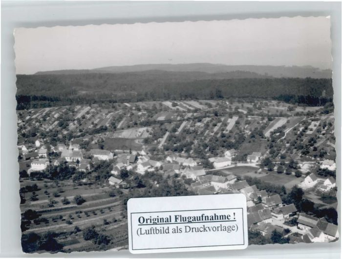 Seelbach Schutter Seelbach Fliegeraufnahme