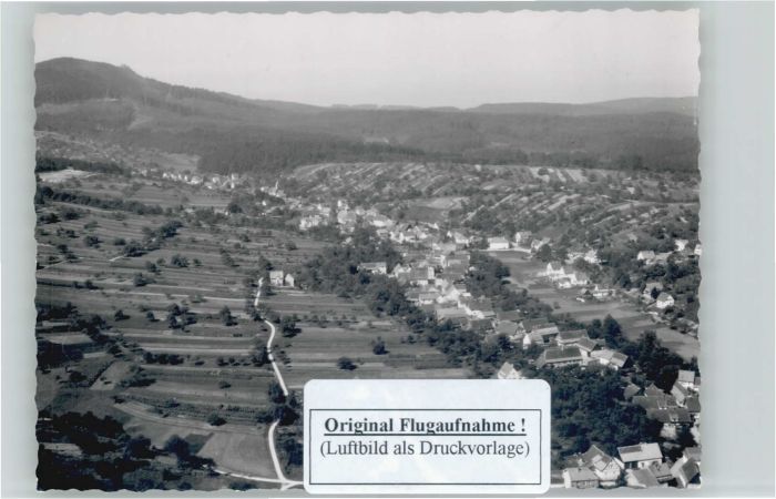 Seelbach Schutter Seelbach Fliegeraufnahme