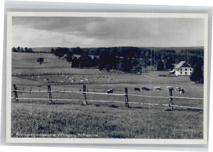 Villingen-Schwenningen