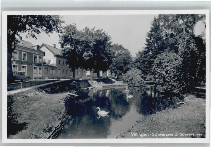Villingen-Schwenningen Schwanensee