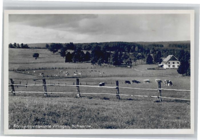 Villingen-Schwenningen