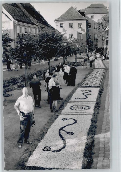 Huefingen Schwarzwald-Baar-Kreis BW lumenteppich
