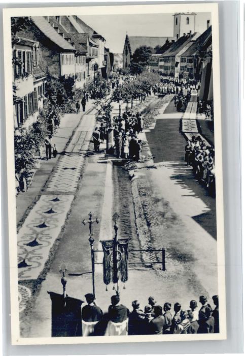Huefingen Schwarzwald-Baar-Kreis BW rozession Blumenteppich