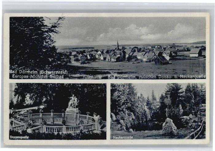 Bad Duerrheim onauquelle Neckarquelle