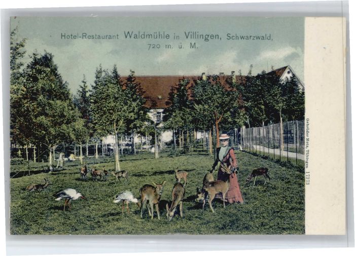 Villingen-Schwenningen Villingen Hotel Waldmühle Storch Reh
