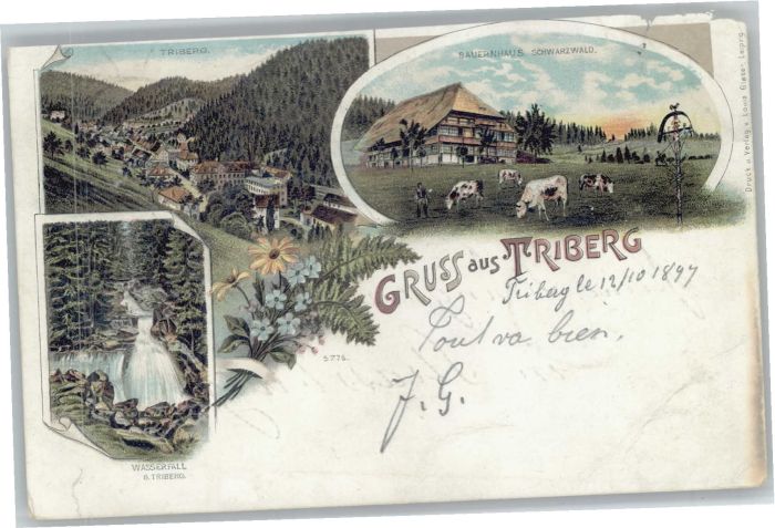 Triberg Wasserfall Bauernhaus Schwarzwald