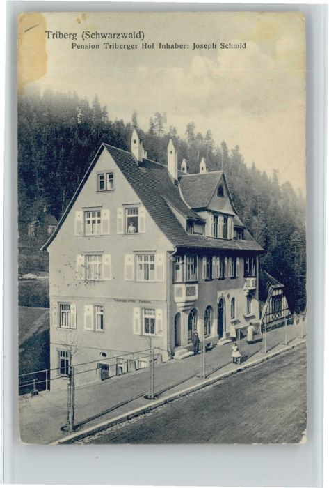 Triberg Pension Triberger Hof