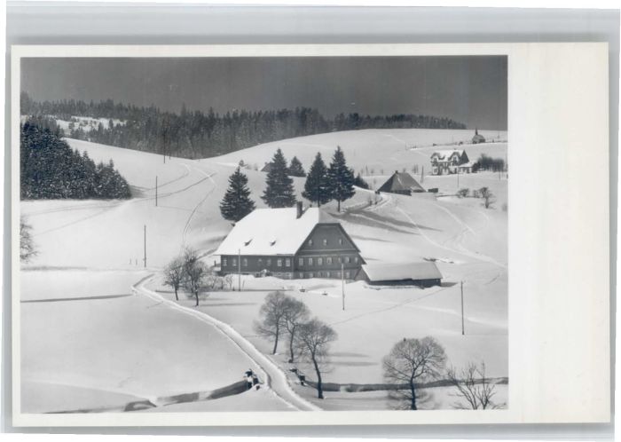 Schoenwald Schwarzwald otel Schwarzwälder Hof *