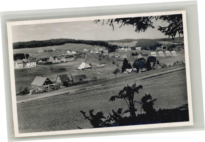 Schoenwald Schwarzwald ühl *