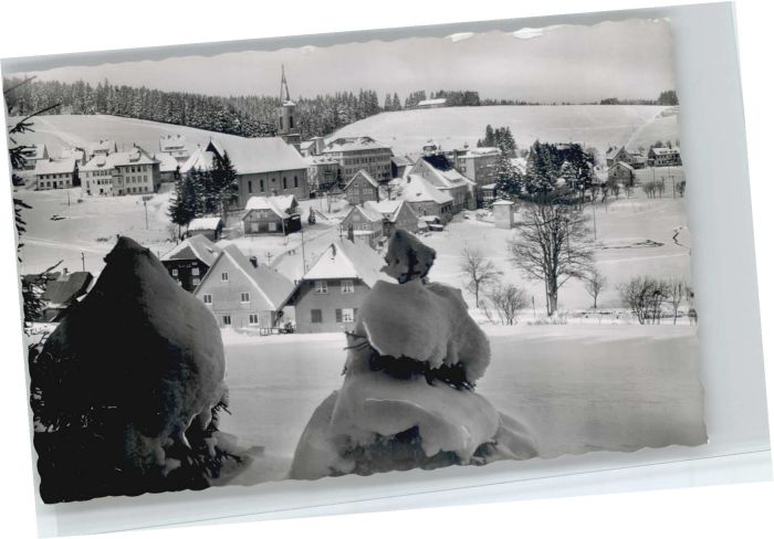 Schoenwald Schwarzwald urhaus Viktoria