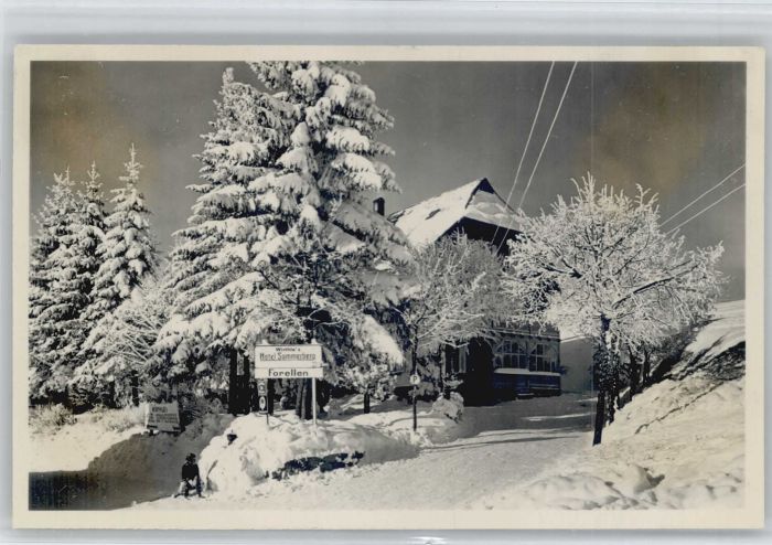 Schoenwald Schwarzwald otel Sommerberg