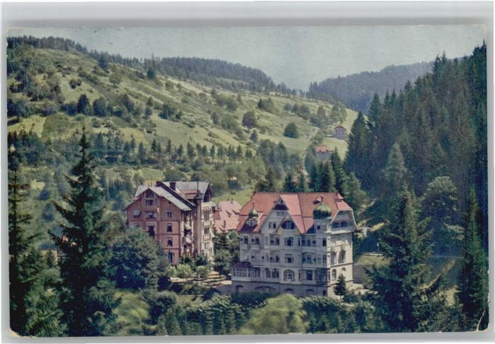 Triberg Schwarzwald-Hotel