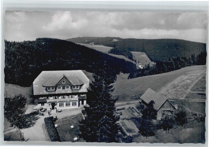 Furtwangen Fliegeraufnahme Goldener Rabe Hotel