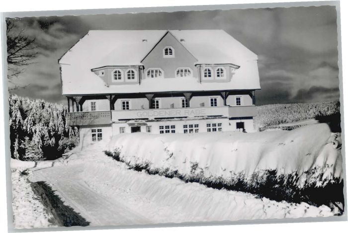 Furtwangen Hotel Goldener Rabe