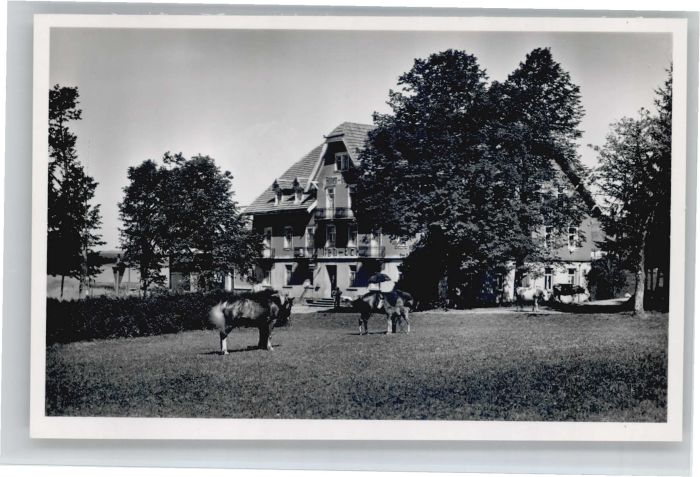 Furtwangen Neueck Gasthaus Neu-Eck