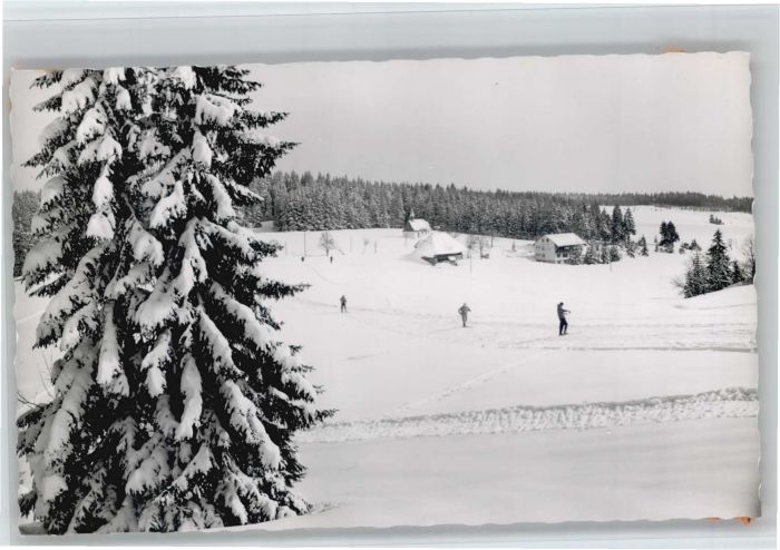 Furtwangen Gasthof Pension Kolmenhof