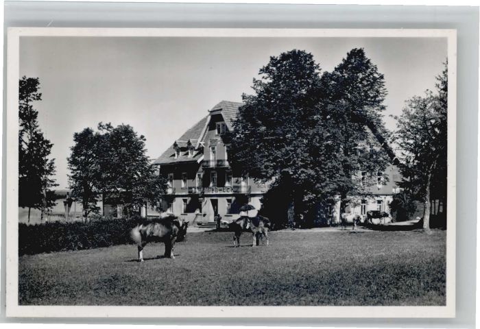 Furtwangen Neueck Hotel Pension Neu-Eck