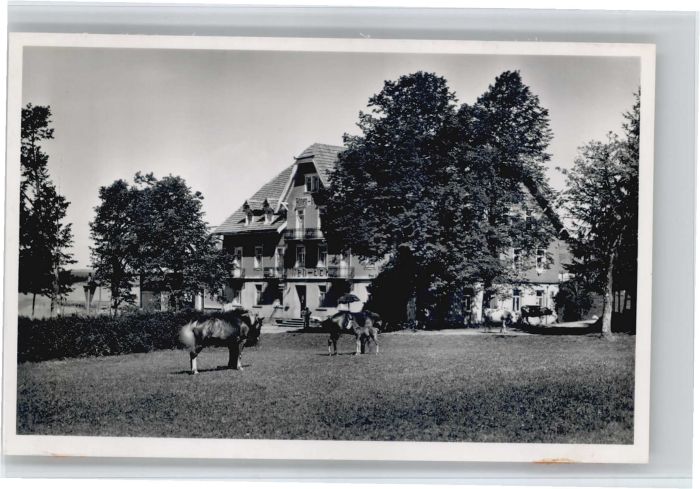 Furtwangen Neueck Hotel Pension Neu-Eck