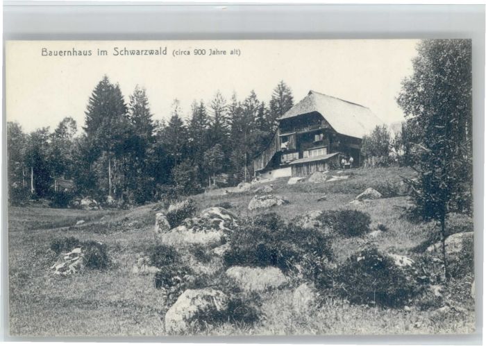 Triberg [Verlag Xaver Kasper] Bauernhaus