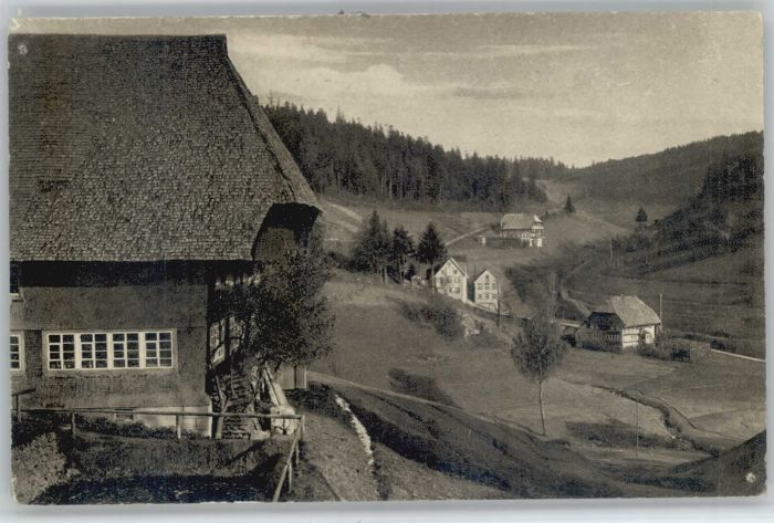 Guetenbach Schwarzwald Furtwangen BW