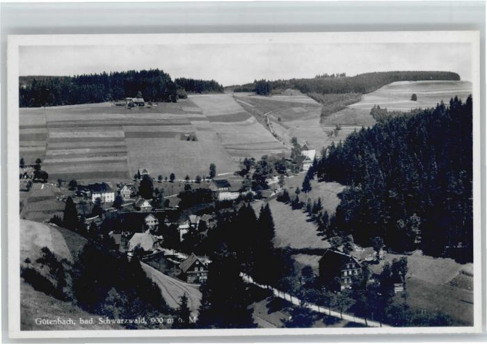 Guetenbach  Schwarzwald Furtwangen BW