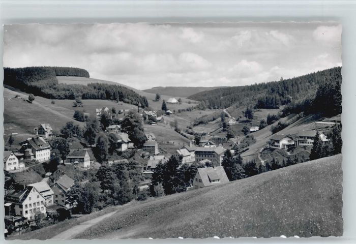 Guetenbach  Schwarzwald Furtwangen BW