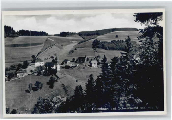 Guetenbach  Schwarzwald Furtwangen BW
