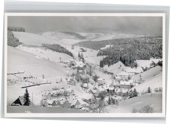 Guetenbach  Schwarzwald Furtwangen BW