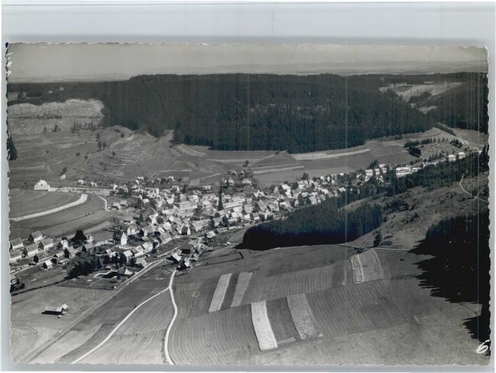 Voehrenbach liegeraufnahme