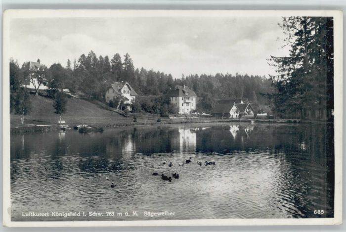 Koenigsfeld Schwarzwald Königsfeld Sägeweiher *