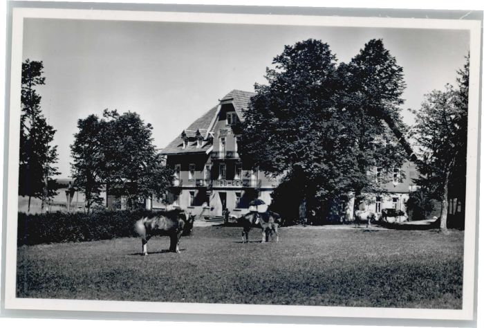 Furtwangen Gasthaus Neu Eck