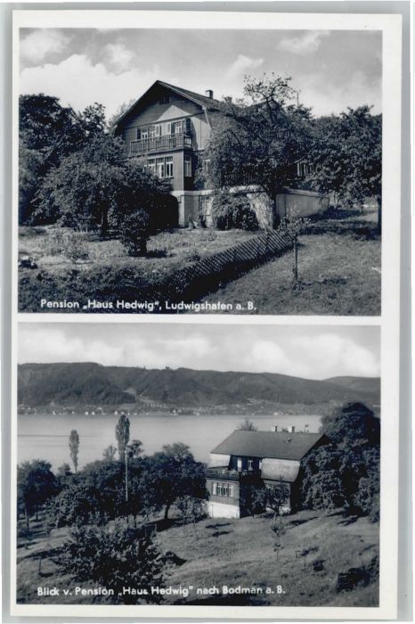 Ludwigshafen Bodensee Pension Haus Hedwig