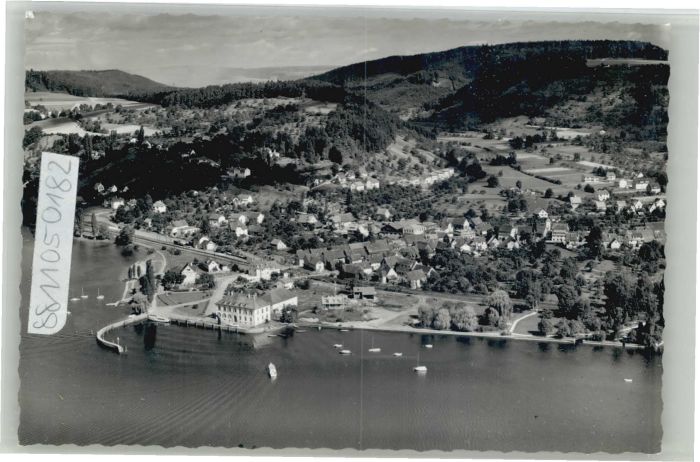 Ludwigshafen Bodensee Fliegeraufnahme